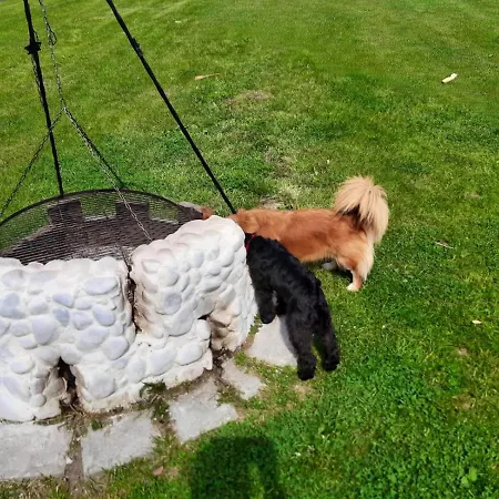 Prázdninový dům Urlopownia-domki Z Indywidulanym Ogrodzeniem-dogfriendly-duzy,zielony Teren