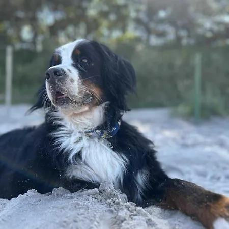 Urlopownia-domki Z Indywidulanym Ogrodzeniem-dogfriendly-duzy,zielony Teren Prázdninový dům