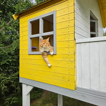 Prázdninový dům Urlopownia-domki Z Indywidulanym Ogrodzeniem-dogfriendly-duzy,zielony Teren