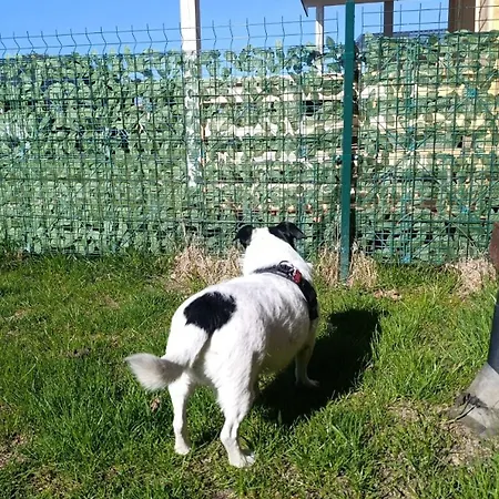 Prázdninový dům Urlopownia-domki Z Indywidulanym Ogrodzeniem-dogfriendly-duzy,zielony Teren *