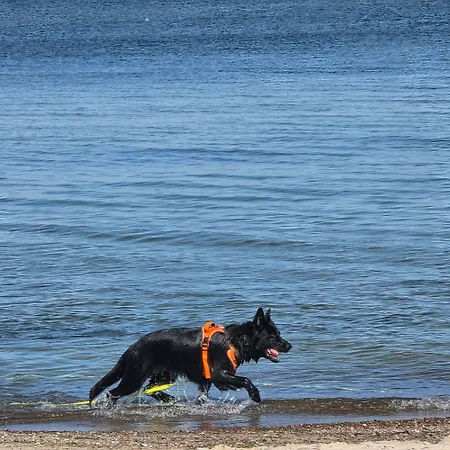 Urlopownia-domki Z Indywidulanym Ogrodzeniem-dogfriendly-duzy,zielony Teren *